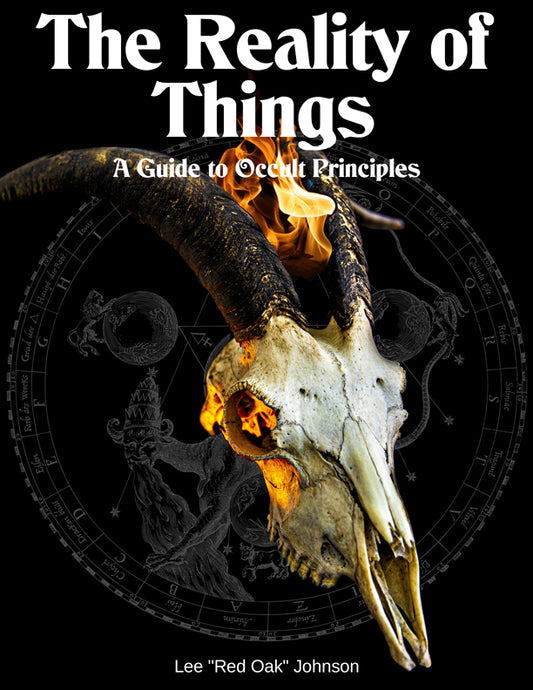 The Reality of Things (eBook)